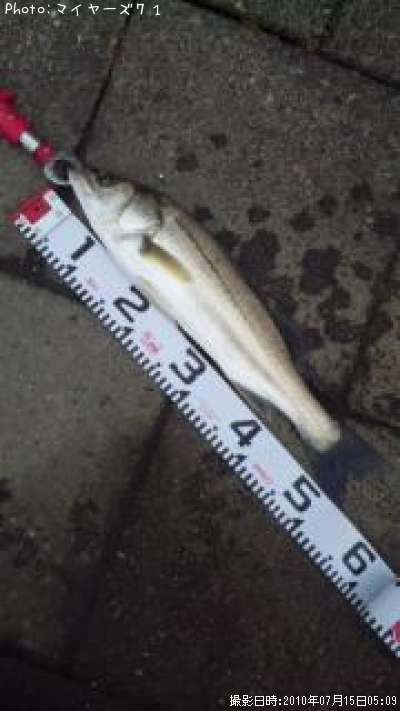 �����Х�