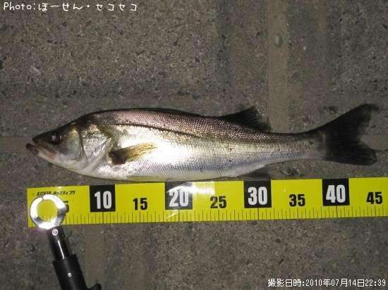 �����Х�