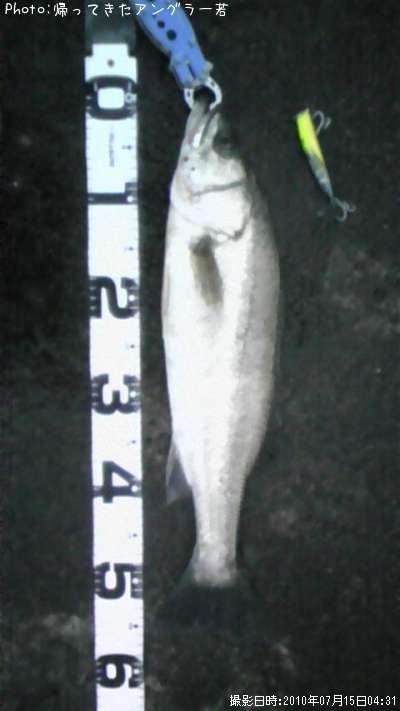 �����Х�