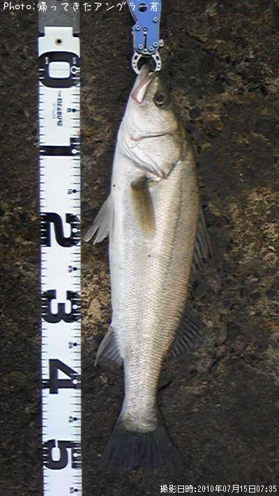 �����Х�