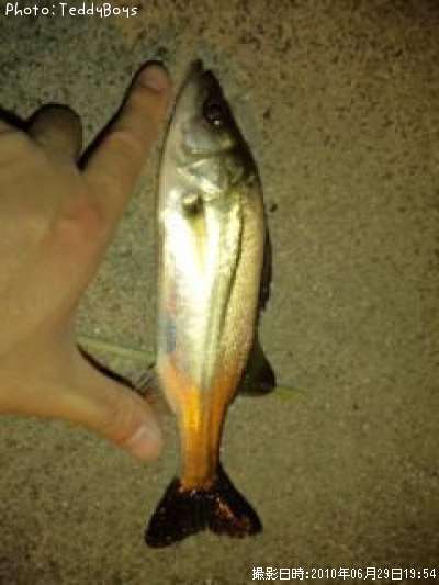 �����Х�