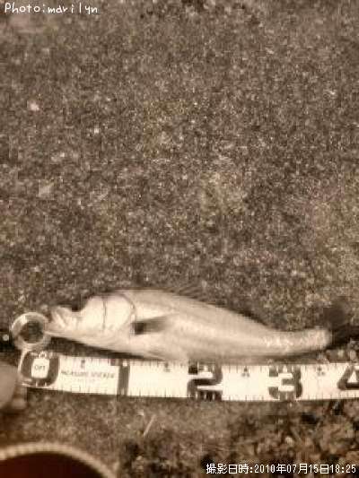 �����Х�