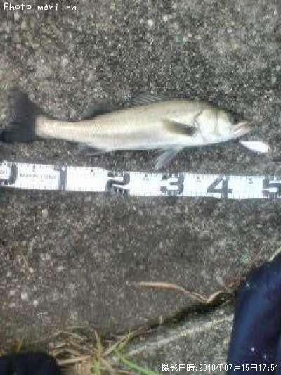 �����Х�