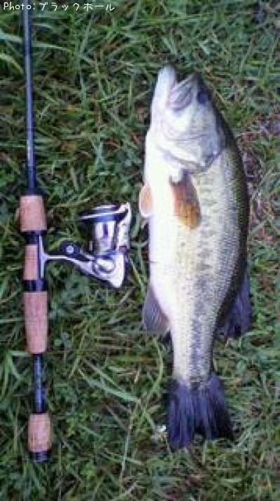 �֥�å��Х�