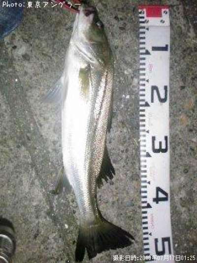 �����Х�