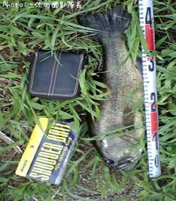 �֥�å��Х�