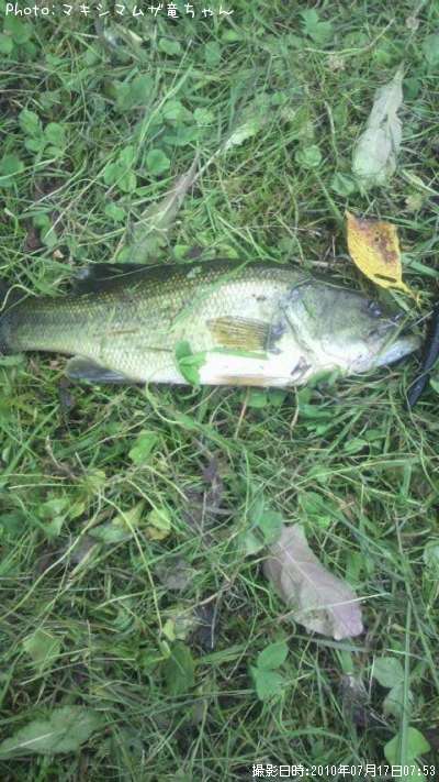 �֥�å��Х�