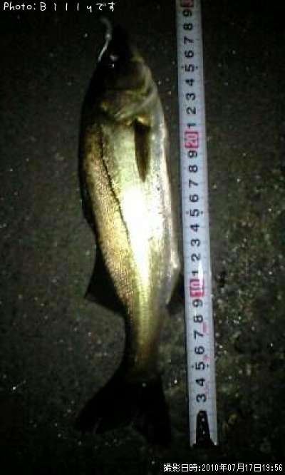 �����Х�