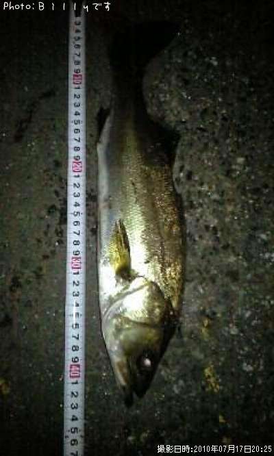 �����Х�