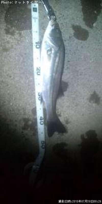 �����Х�