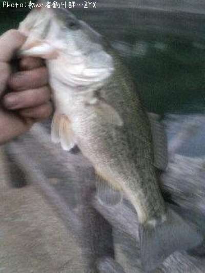 �֥�å��Х�