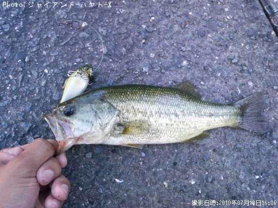 �֥�å��Х�