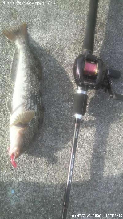 �����ʥ�