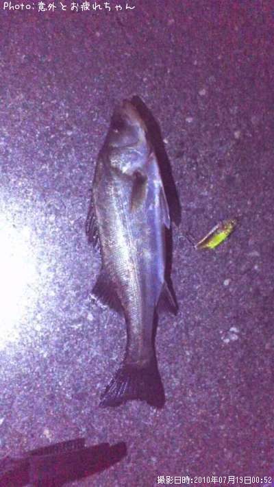 �����Х�