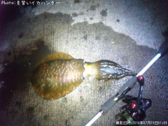 �����ꥤ��