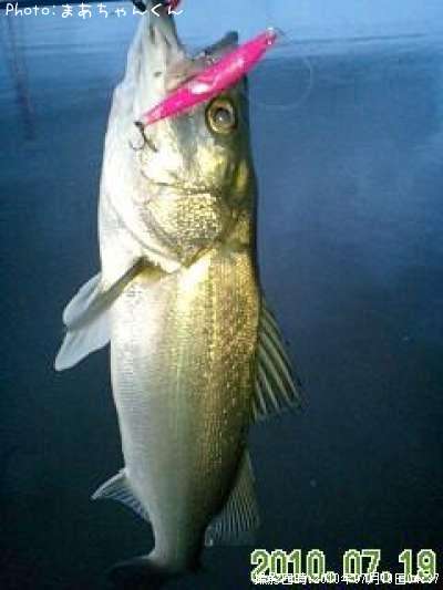 �����Х�