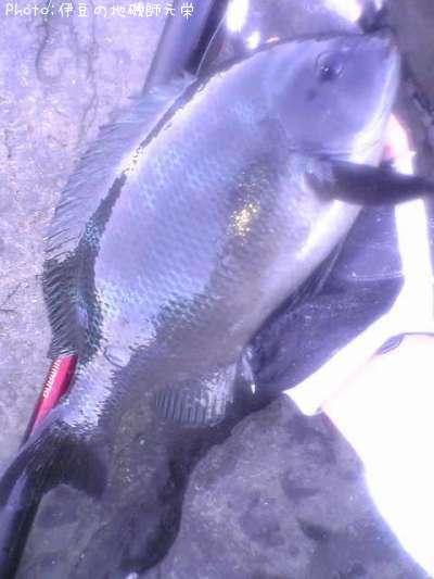 �����᥸��