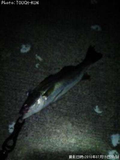 �����Х�