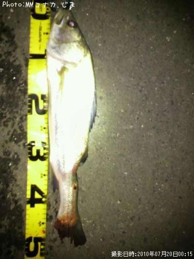 �����Х�