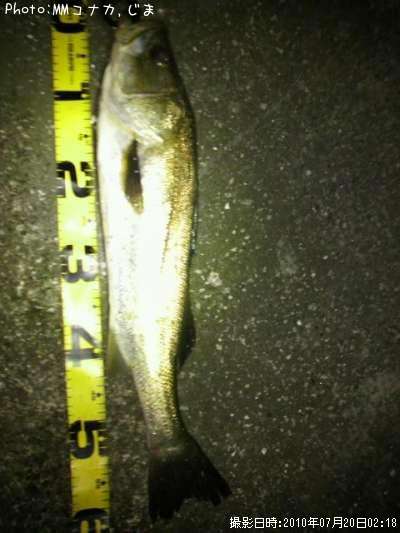 �����Х�