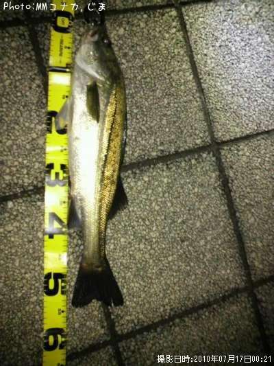 �����Х�