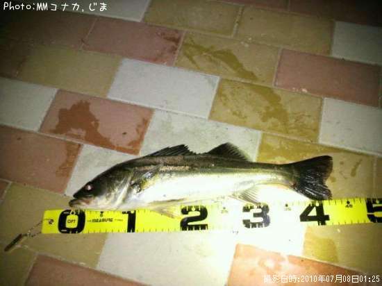 �����Х�