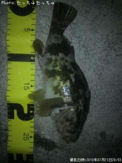 �����Υ���Х�