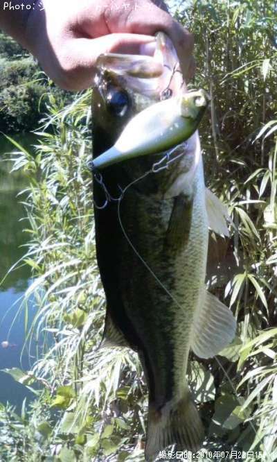 �֥�å��Х�