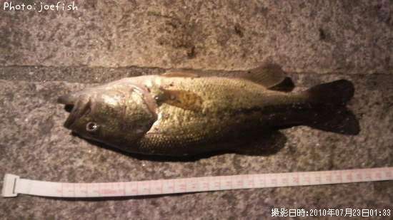 �֥�å��Х�