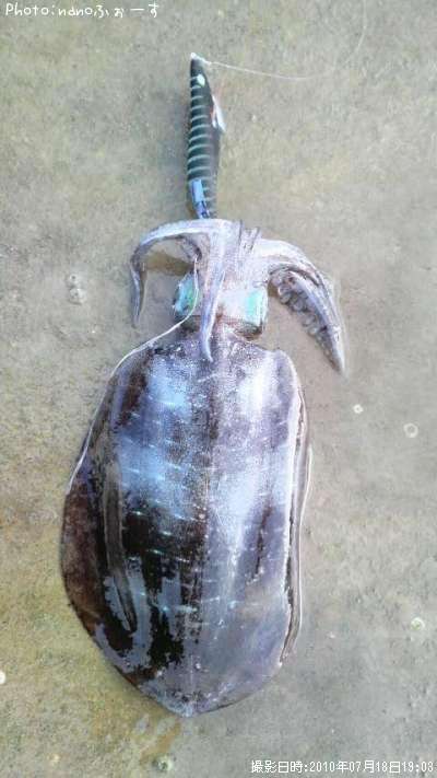 �����ꥤ��