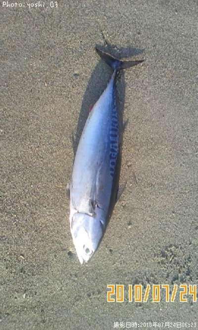 ���������ĥ�