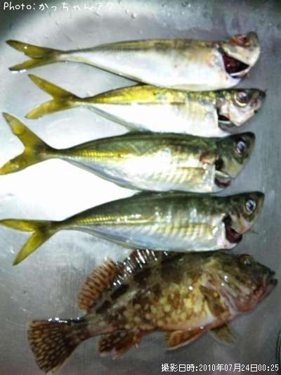 ������������