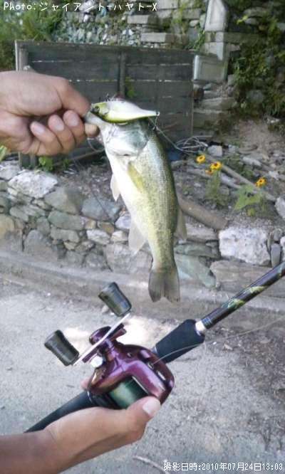 �֥�å��Х�