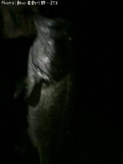 �֥�å��Х�