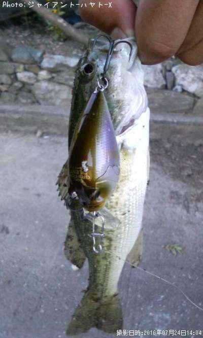 �֥�å��Х�