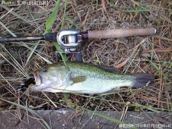 �֥�å��Х�