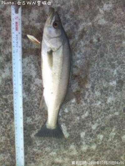 �����Х�