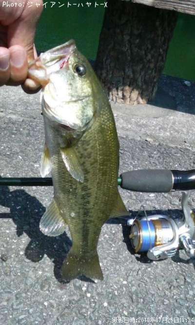 �֥�å��Х�