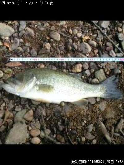 �֥�å��Х�