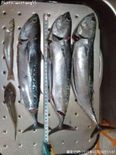 ���������ĥ�