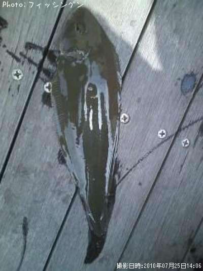 �����������ӥ��