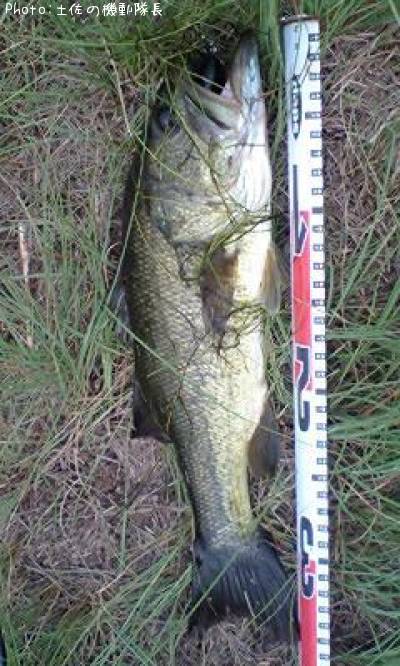 �֥�å��Х�