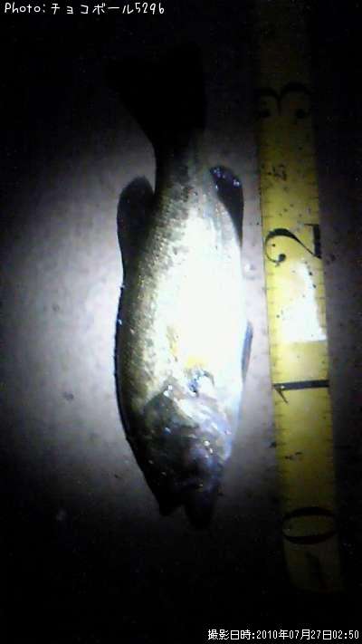 �֥�å��Х�