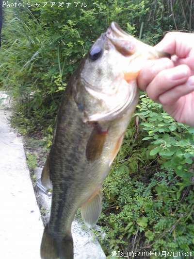 �֥�å��Х�