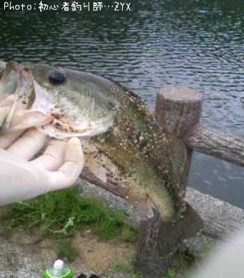 �֥�å��Х�