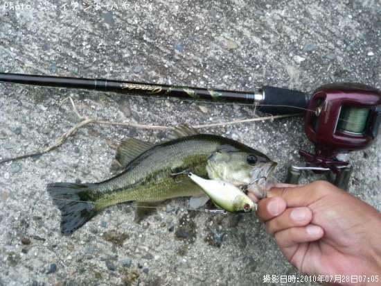 �֥�å��Х�