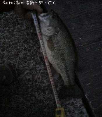 �֥�å��Х�