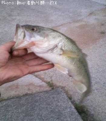 �֥�å��Х�