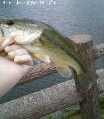 �֥�å��Х�