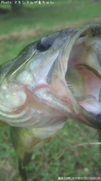 �֥�å��Х�